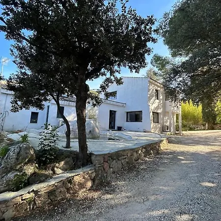Contemporaine Avec Lagon Villa